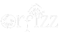 Corfizz logo